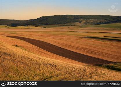  View Of Yellow And Green Fields in Macin, Romania in Summer