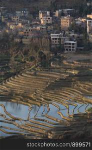 View of Yuan Yang Rice terraces