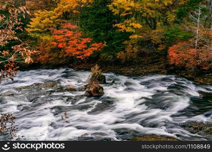 View of Yukawa River flow rapidly passing rocks in colorful foliage of autumn season at the city of Nikko, Tochigi Prefecture, Japan