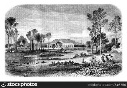 View of Zoological Gardens in the Bois de Boulogne, Paris, vintage engraved illustration. Magasin Pittoresque 1861.