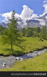 view on a river flowing  accross an alpine french national park wirh a glacier background in summer 