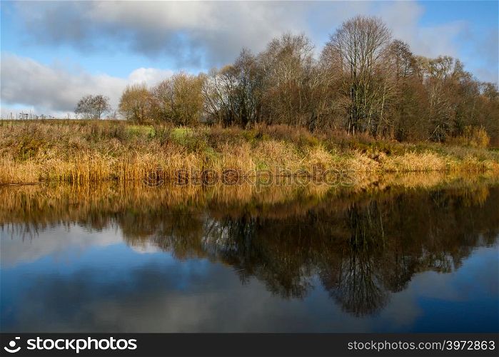 View on autumn landscape of river and trees in sunny day. Forest on river coast in autumn day. Reflection of autumn trees in water. Autumn in Latvia. Autumn landscape with colorful trees, yellow grass and river.