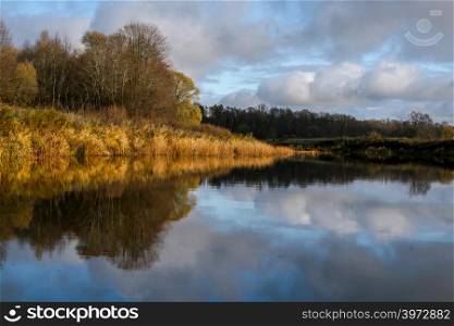 View on autumn landscape of river and trees in sunny day. Forest on river coast in autumn day. Reflection of autumn trees in water. Autumn in Latvia. Autumn landscape with colorful trees and river.