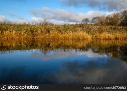 View on autumn landscape of river and trees in sunny day.Grass on river coast in autumn day. Reflection of autumn trees in water. Autumn in Latvia. Autumn landscape with colorful trees and river.