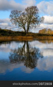 View on autumn landscape of river and trees in sunny day. Forest on river coast in autumn day. Reflection of autumn trees in water. Autumn in Latvia. Autumn landscape with colorful trees, yellow grass and river.