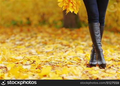 View on female legs over dry autumn leaves background. Woman walking in autumn park