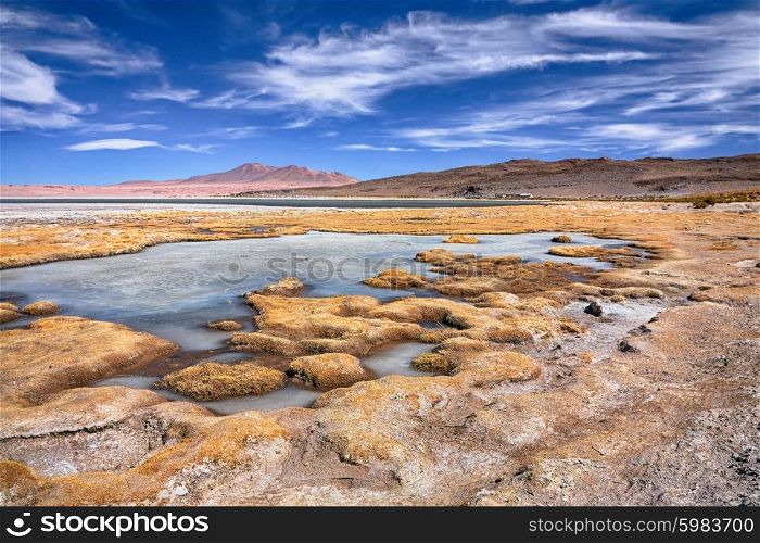 view on salt lake Salar de Tara, desert Atacama, Chile