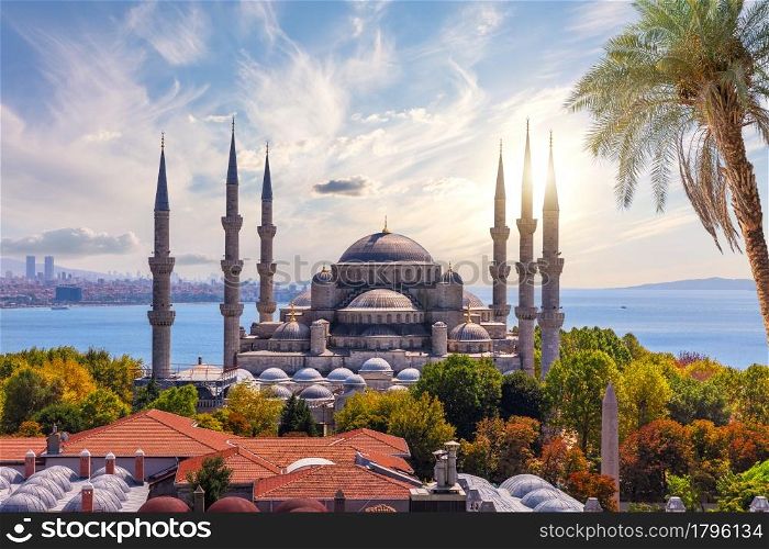 View on the Blue Mosque and roofs of Sultanahmet district, Fatih, Istanbul, Turkey.