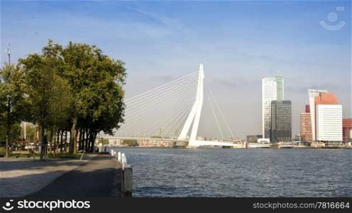 View on the Meuse river in Rotterdam, the Netherlands