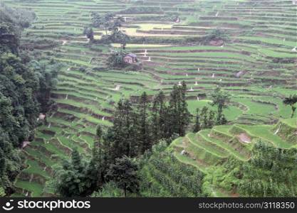 View on the rice terraces near Xinjie, China