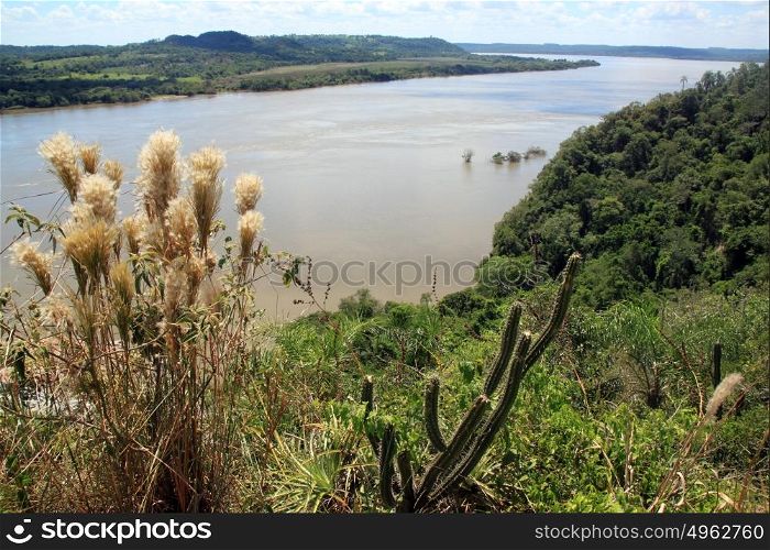 View on the river Parana on the border Argentina and Paraguay