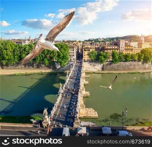 View on Tiber and Rome from the Castle of Angels, Italy