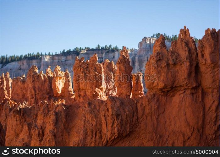 View over Bryce Canyon Utah