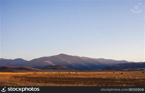 View over desert farmland, rural Washington State