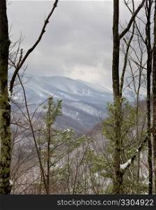 View over distant Smoky Mountains in winter between trunks of trees