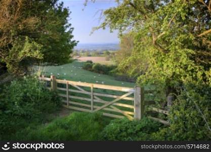 View over farm gate towards pretty English countryside, Cotswolds, England.