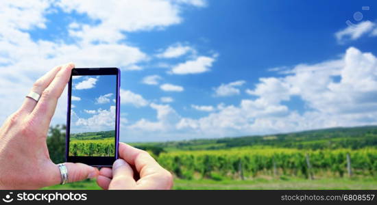 View over the mobile phone display during taking a picture of vineyard. Holding the mobile phone in hands and taking a photo. Focused on mobile phone screen.