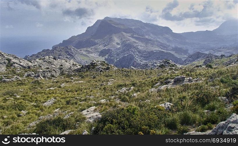 View over the mountains of the Tramuntana Mountains on the Spanish Balearic island of Majorca. In the background the sea and the mountain peaks in the Wolgen. In the foreground the green grasses