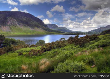 View over the yellow gorse to Crummock Water, the Lake District, Cumbria, England.
