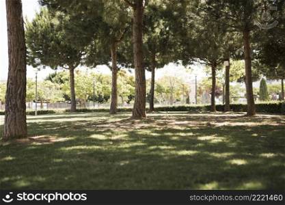 view pine urban park