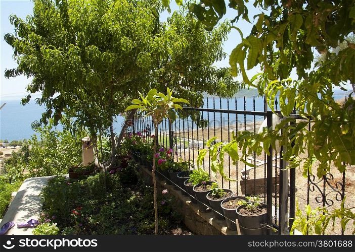 view sea from garden of resort in Izmir