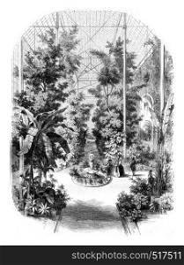 View taken in the greenhouses of the Jardin des Plantes in Paris, vintage engraved illustration. Magasin Pittoresque 1845.
