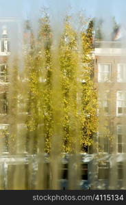 View through blinds of Amsterdam housing and tree