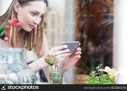 View through glass of woman using smartphone to photograph plants