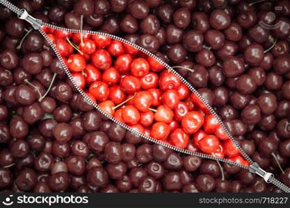 View through the zipped fastener on ripe sweet cherry berries.