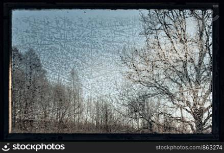 view to a trees through a frosted window pane with ice crystal patterns and sunlight on it, soft focus on trees