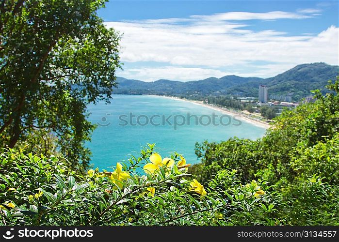 View to beautiful beach, focus on foreground flowers