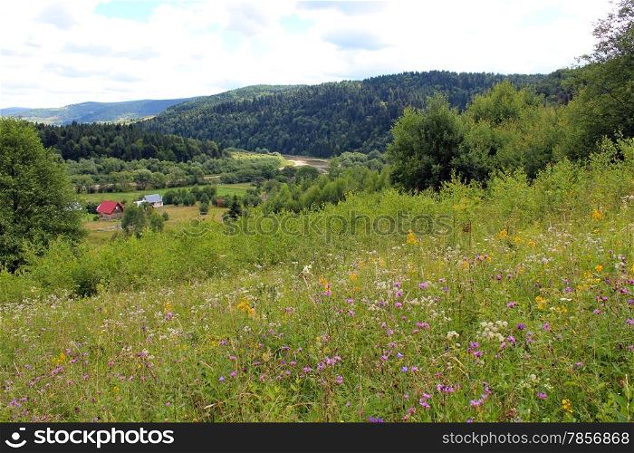 view to Carpathian mountains and mountainous villiage