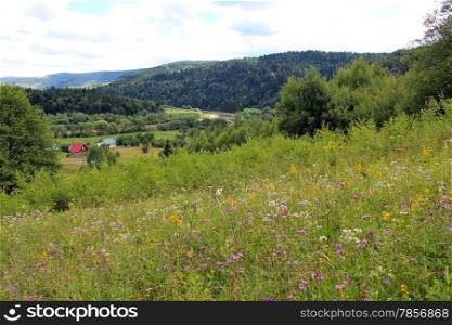 view to Carpathian mountains and mountainous villiage