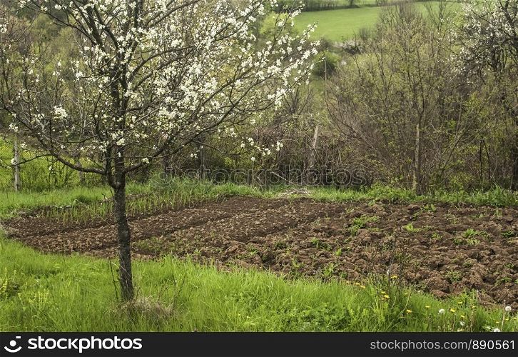 View to rural farmyard with vegetable garden beds