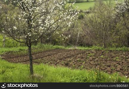 View to rural farmyard with vegetable garden beds