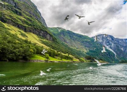 View to Sognefjord in Norway. Country landscape