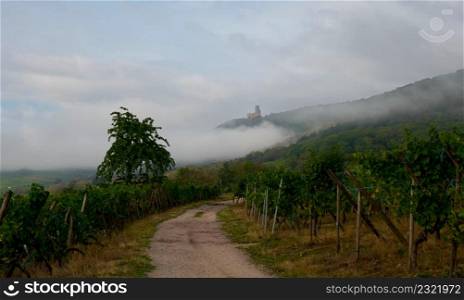 view to the Ortenbourg castle in Alsace on a foggy morning