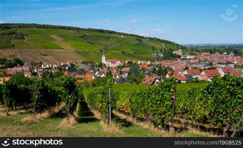 View to the village of Barr in Alsace