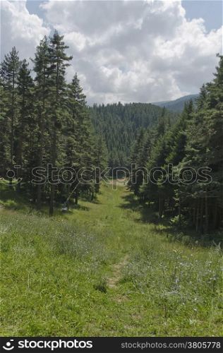 View toward sports centre in the pine forest at Rila mountain, Bulgaria.