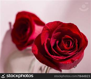 view valentine s day concept with roses. High resolution photo. view valentine s day concept with roses