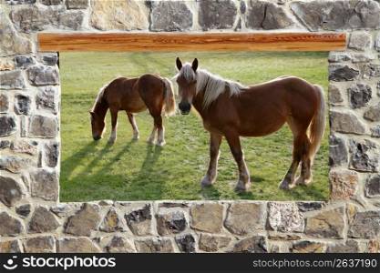 view window horses meadow stone masonry wall