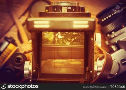 Viewfinder of a retro twin-lens camera showing a tree. Retro conceptual.