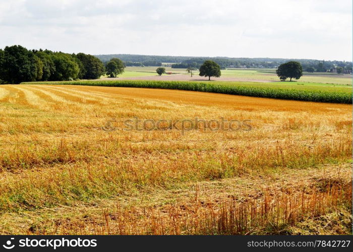 Viewpoint in the Bergherbos in Beek, The Netherlands.