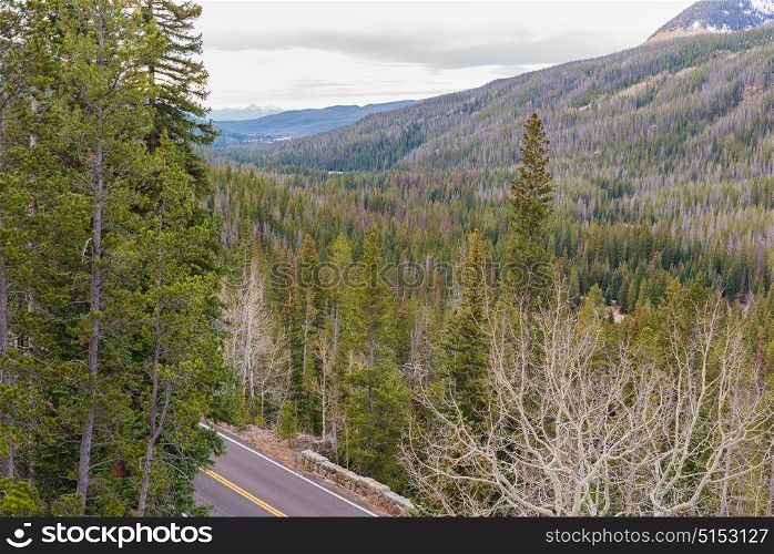 Viewpoint of Trail Ridge Road, Rocky Mountain NP, Colorado