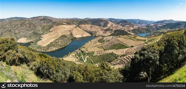 Viewpoint of Vargelas allows to see a vast landscape on the Douro and its man-made slopes. Douro Region, famous Port Wine Region, Portugal.