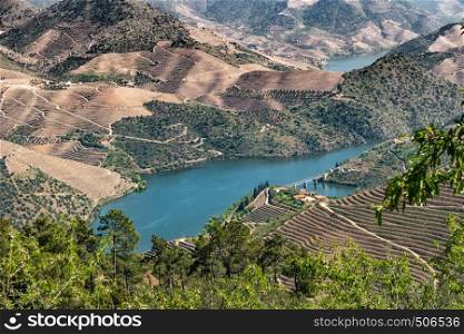 Viewpoint of Vargelas allows to see a vast landscape on the Douro and its man-made slopes. Douro Region, famous Port Wine Region, Portugal