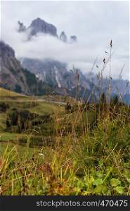 views of the Dolomites Mountains in Italy and grass in the foreground