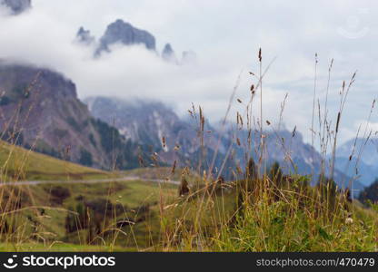 views of the Dolomites Mountains in Italy and grass in the foreground