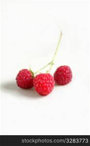 Vignette of three fresh raspberries on white.