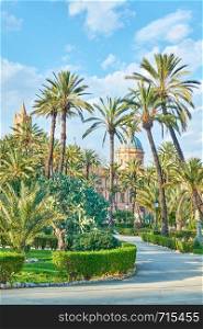 Villa Bonanno public garden with tall palms and Palermo Cathederal in the background, Palermo, Sicily, Italy